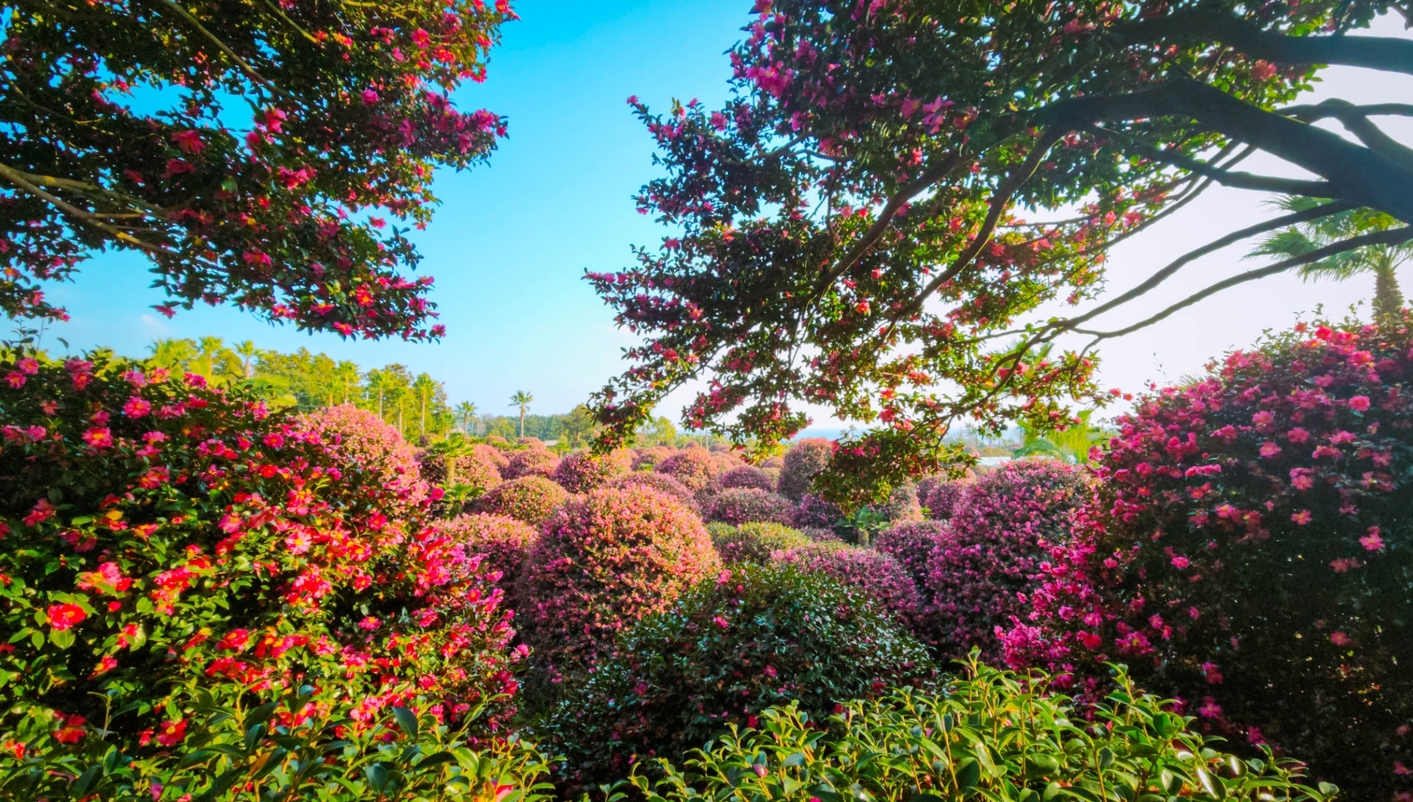 header picture of tour The Essence of Korea and Jeju Island